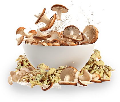 Bowl of oyster mushrooms with a splash, cut out on a transparent background